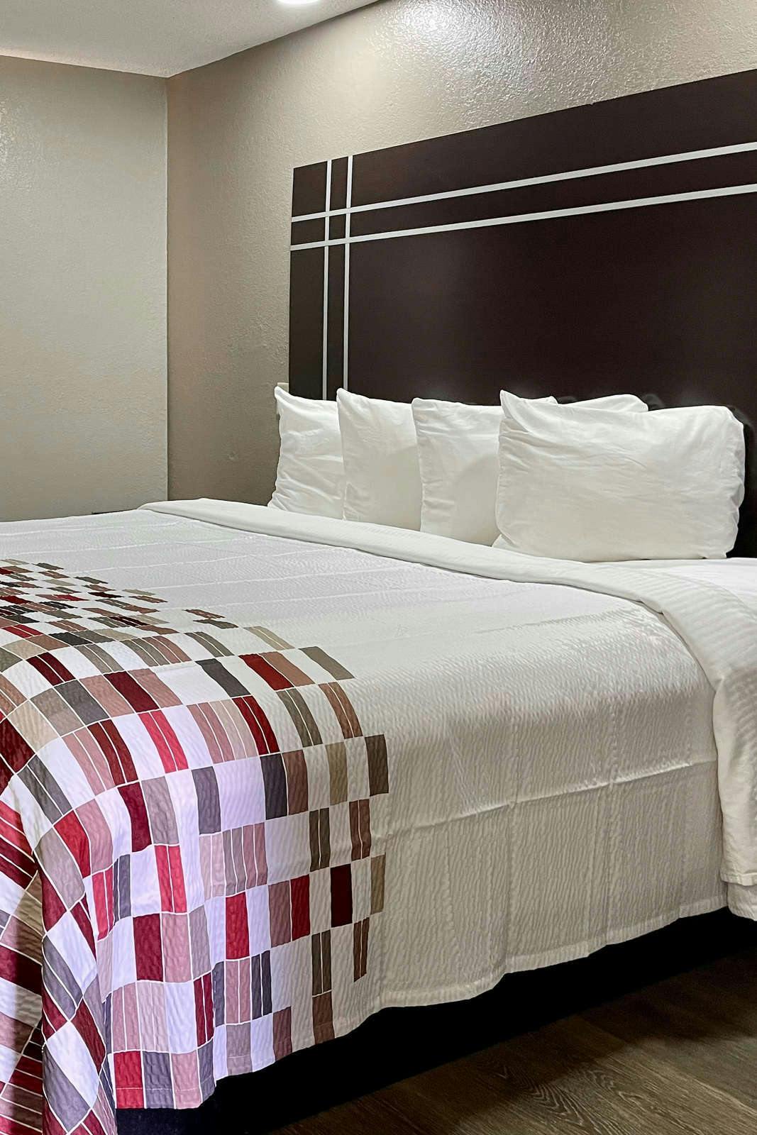 Hotel Red Roof Inn & Suites Jackson - Richland photo 3