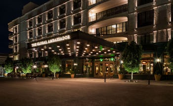 The Global Ambassador