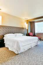 Hotel Barcelo Mexico Reforma photo 2