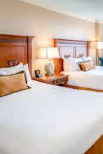 Hotel Rosen Shingle Creek photo 3