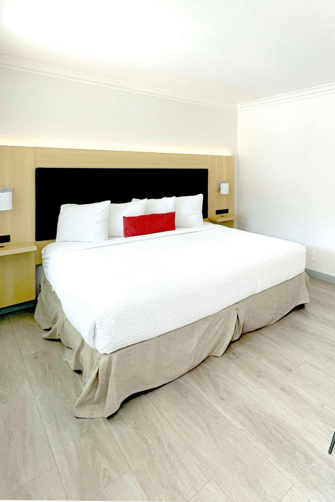 Hotel The Live Hotel photo 1