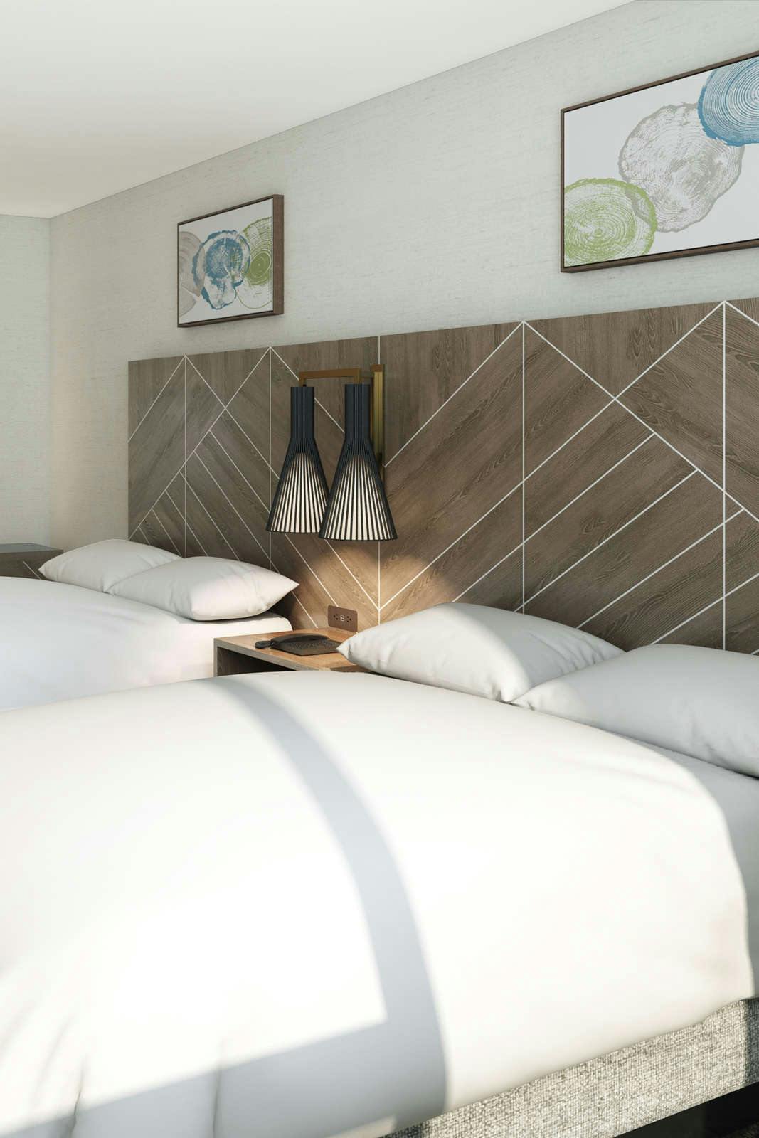 Hotel Embassy Suites by Hilton Asheville Downtown photo 4