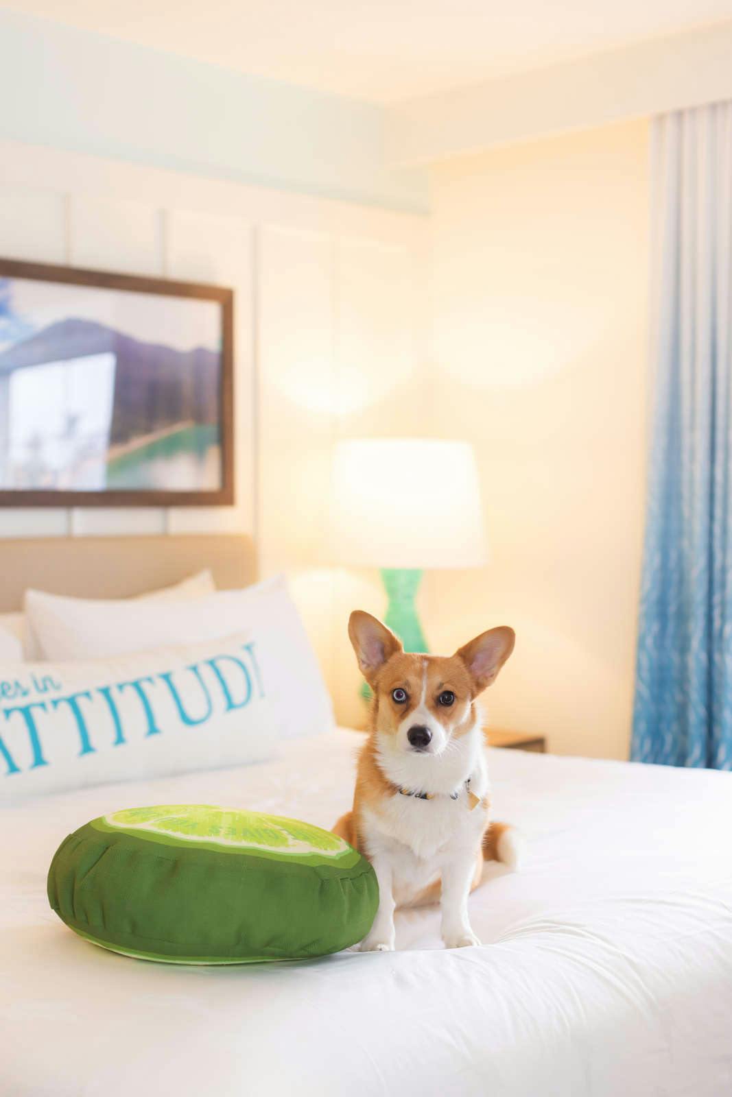 Hotel Margaritaville Resort Lake Tahoe photo 4