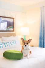 Hotel Margaritaville Resort Lake Tahoe photo 4