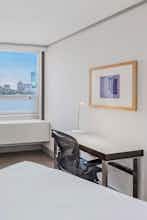 Hotel The Royal Sonesta Boston photo 5