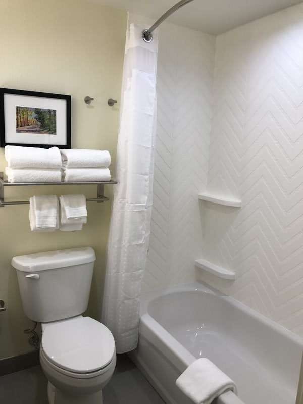 Hotel Holiday Inn & Suites Arden - Asheville Airport photo 5