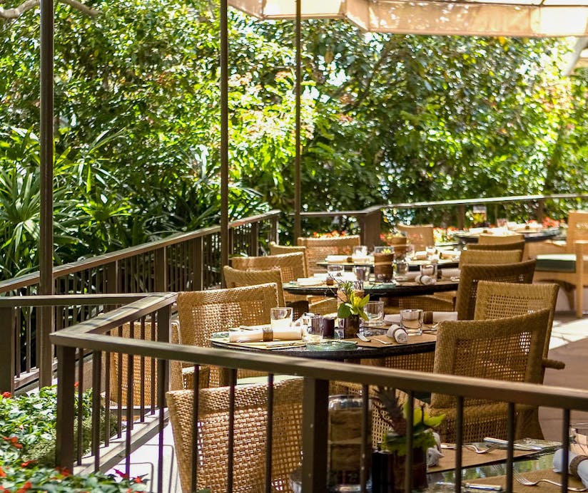 Fashion Island Hotel Logo 3 original normalized