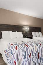 Hotel Red Roof Inn Washington, NC photo 4