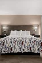 Hotel Red Roof Inn Washington, NC photo 1
