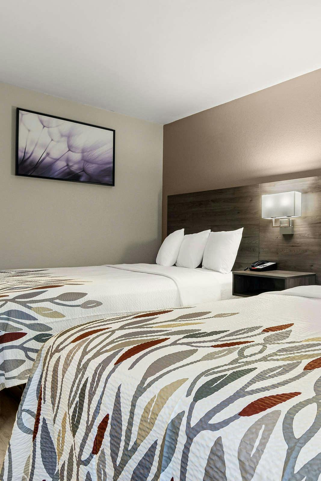 Hotel Red Roof Inn Washington, NC photo 3