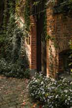 Hotel Wilmina Hotel photo 4