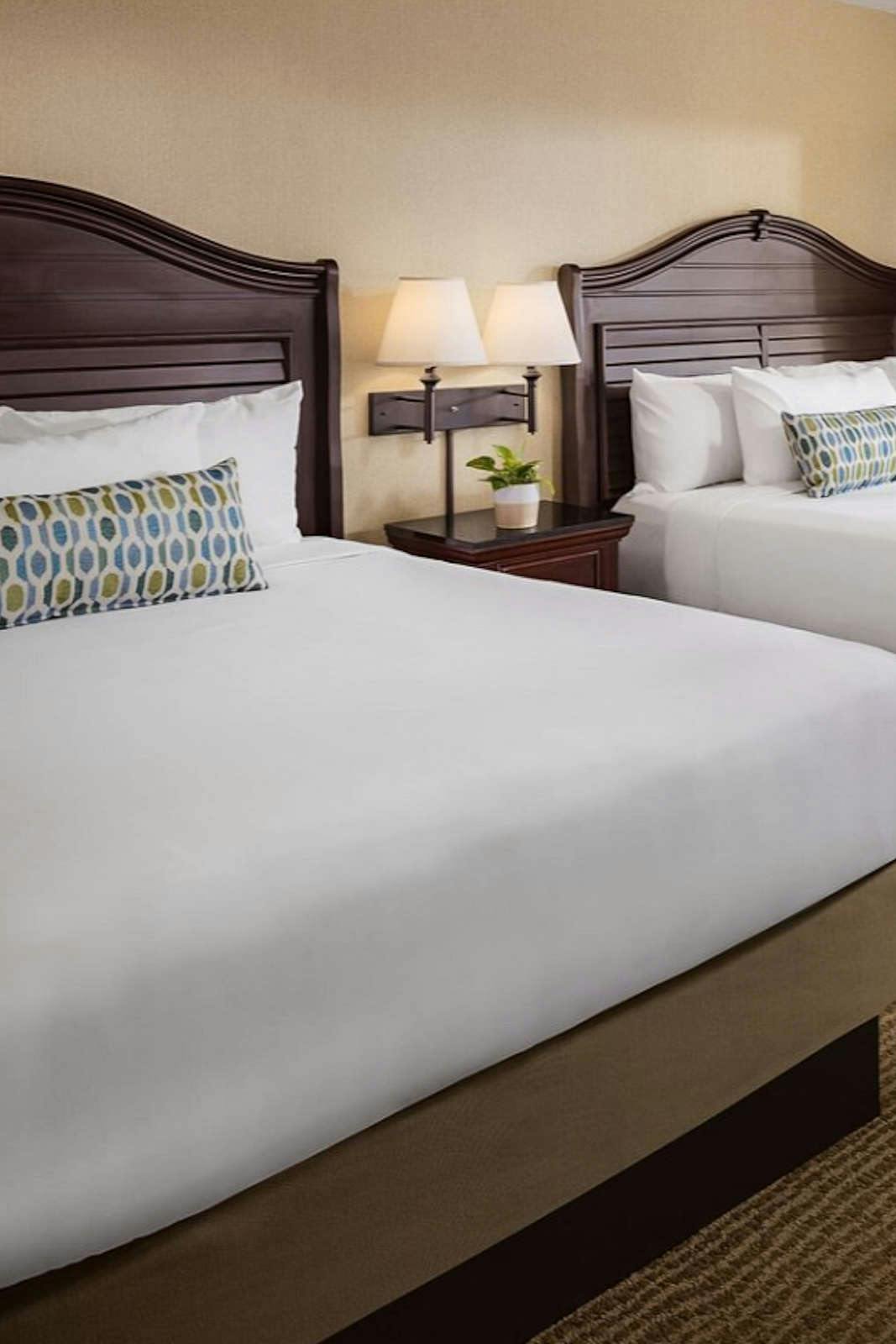 Hotel Bahia Resort Hotel photo 5