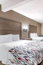 Hotel Red Roof Inn & Suites Newport News photo 2