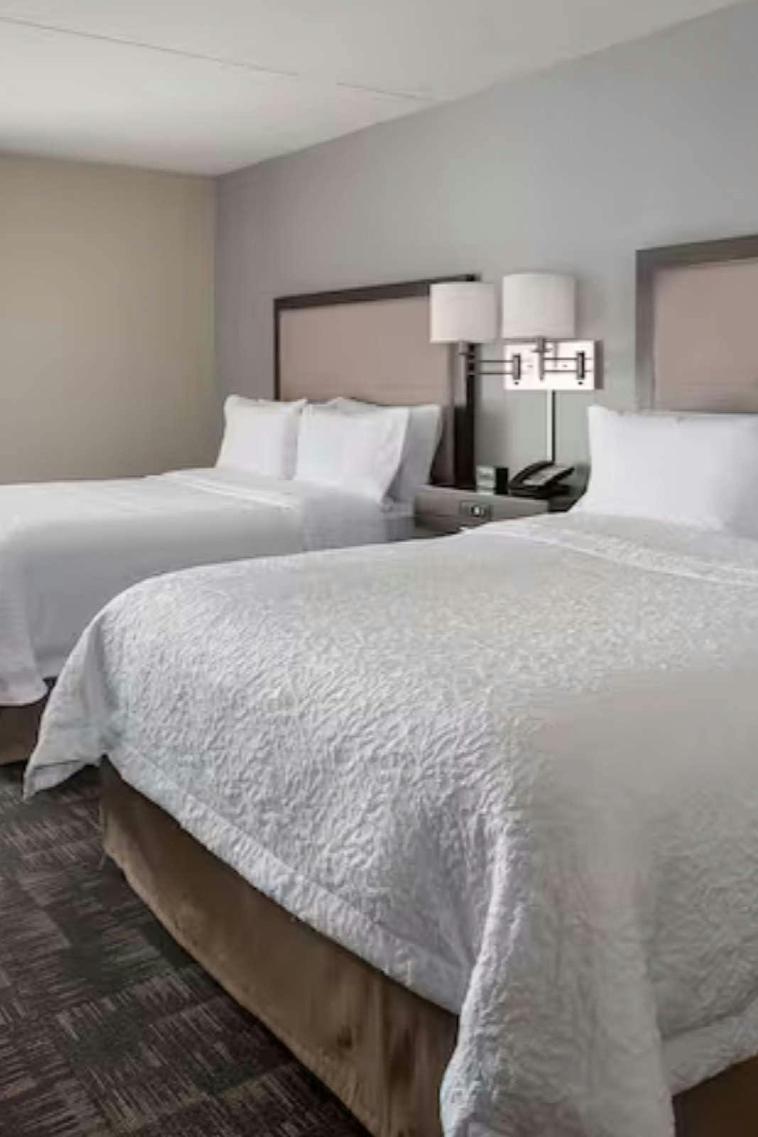 Hotel Hampton Inn Boston - Logan Airport photo 3