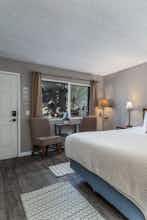 Hotel Alder Inn photo 4