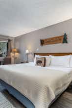 Hotel Alder Inn photo 1