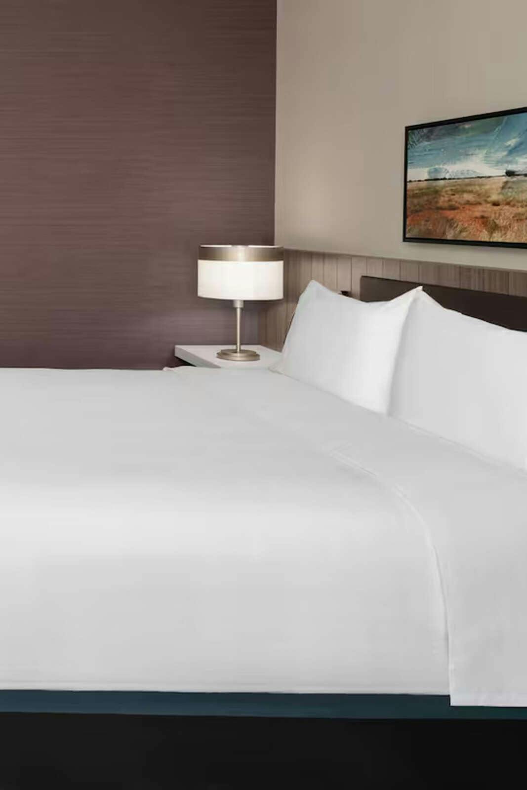 Hotel Hilton Garden Inn Grand Prairie at EpicCentral photo 1