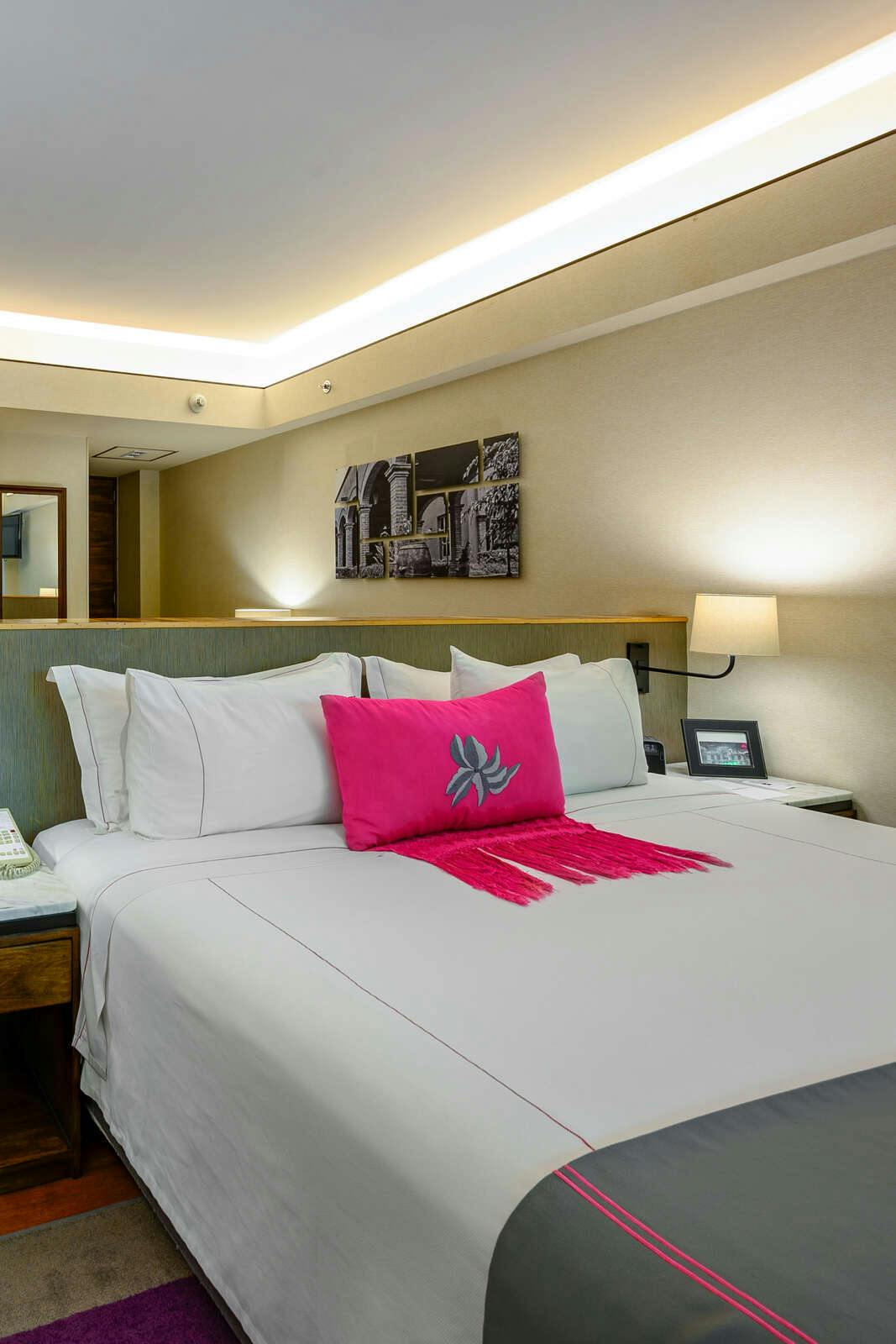 Hotel Las Suites Polanco photo 3