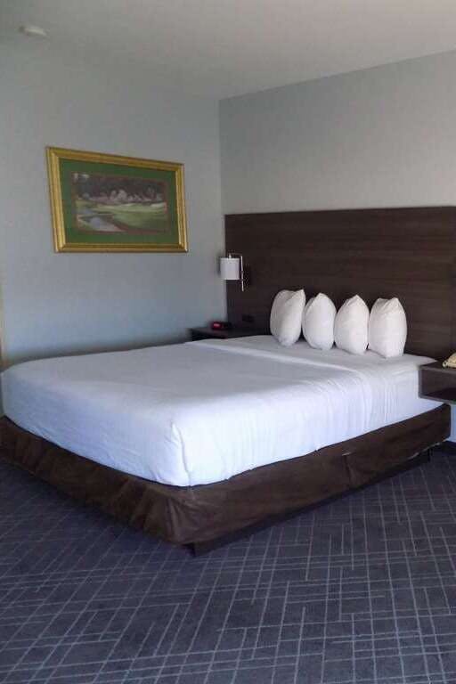 Hotel Baymont by Wyndham Augusta Riverwatch photo 2