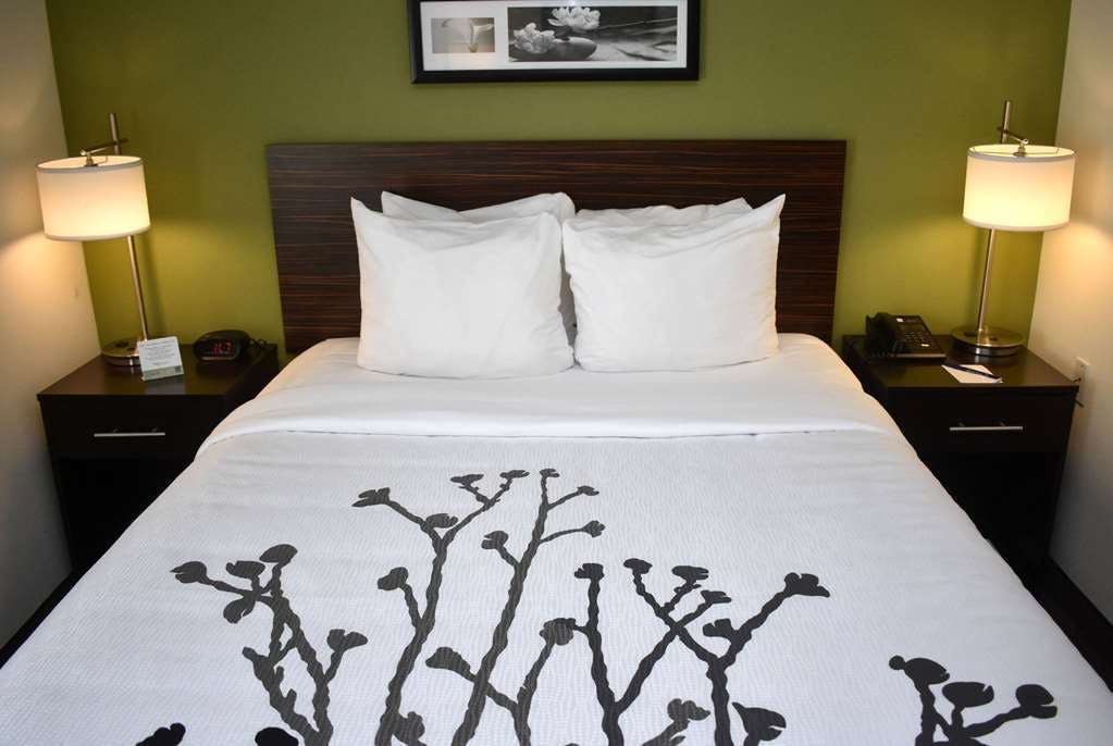 Hotel Wingate by Wyndham Salisbury photo 3