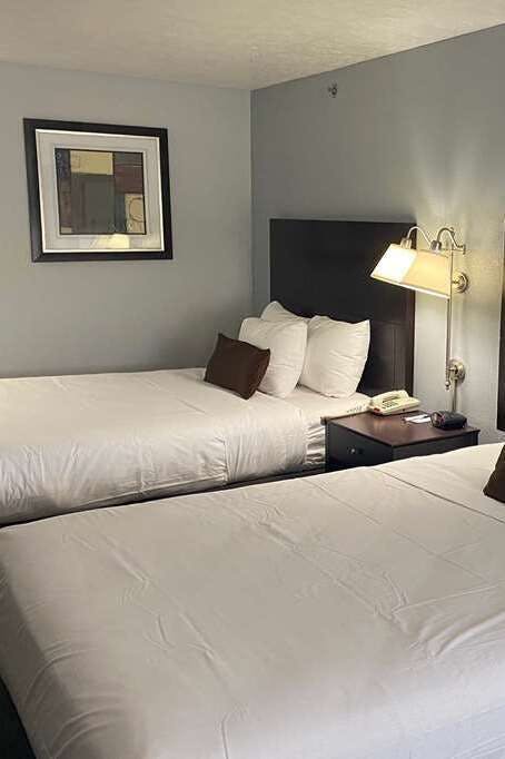 Hotel Baymont by Wyndham Lake City I-75 photo 3