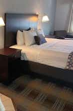Hotel Baymont by Wyndham Lake City I-75 photo 1