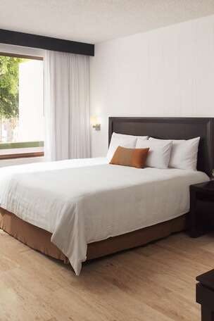 Hotel El Cid Granada photo 1