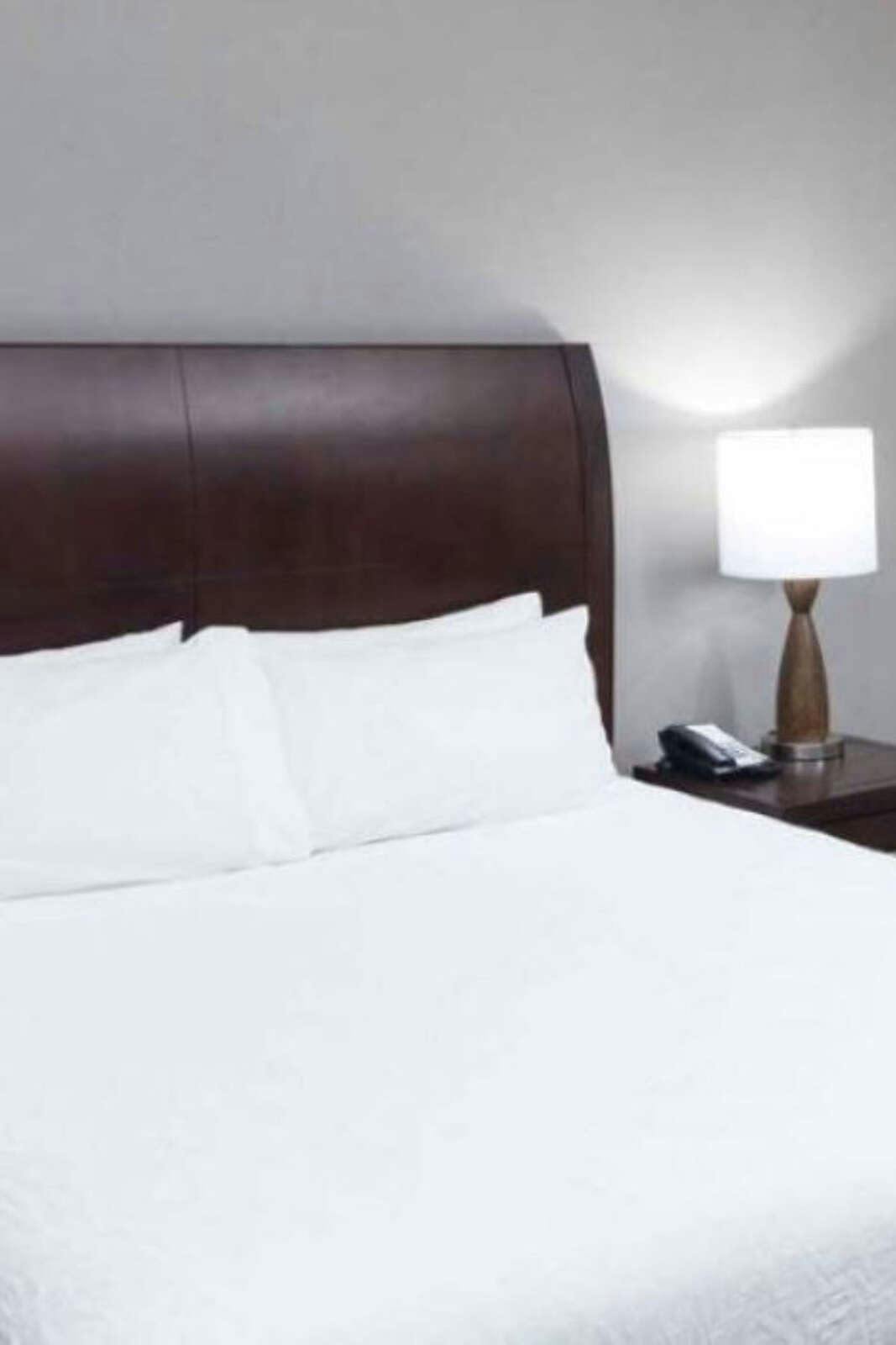 Hotel Hilton Garden Inn Detroit/Novi photo 2