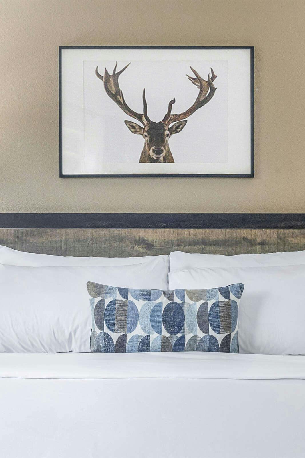 Hotel Inn at Mount Shasta photo 2