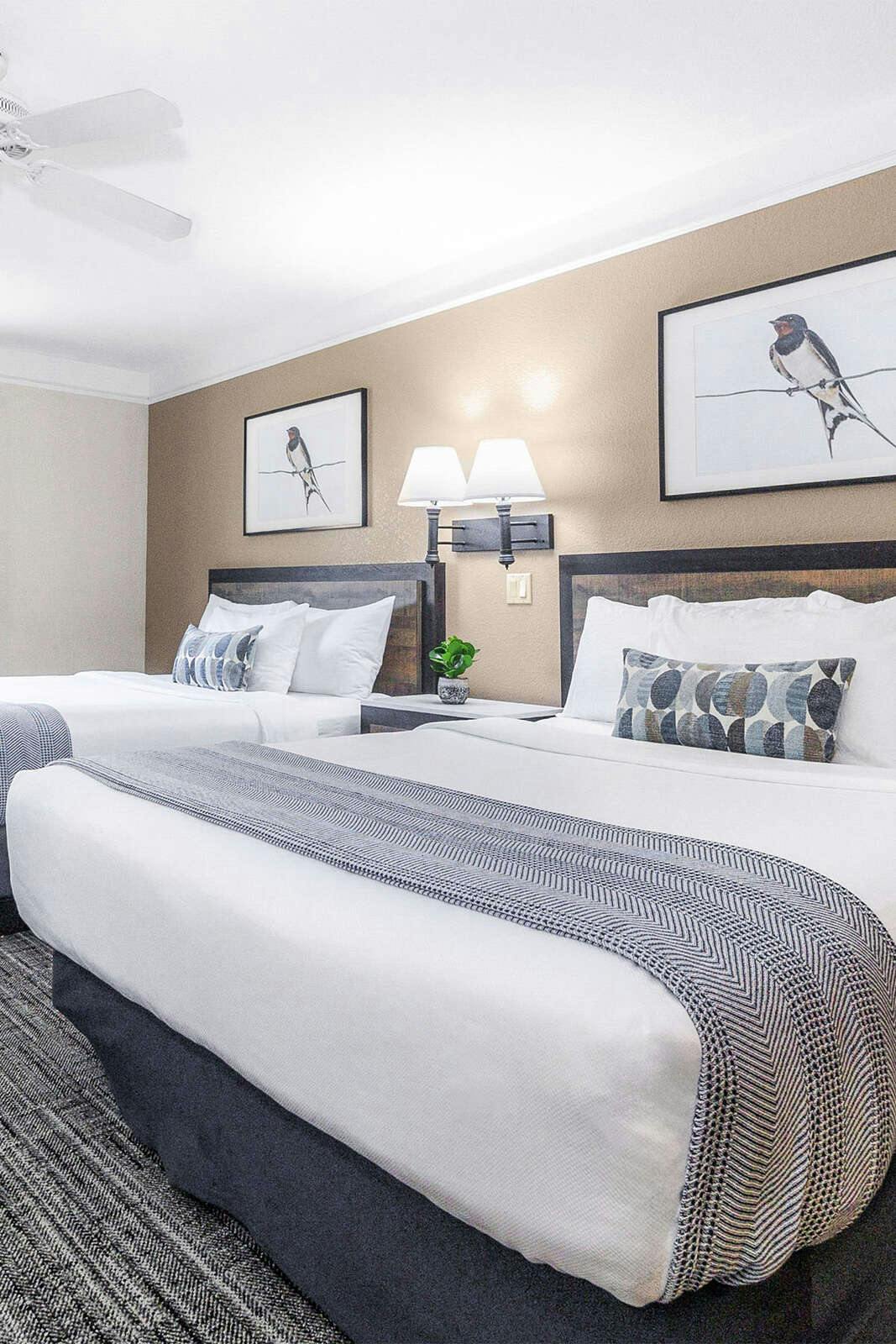 Hotel Inn at Mount Shasta photo 3