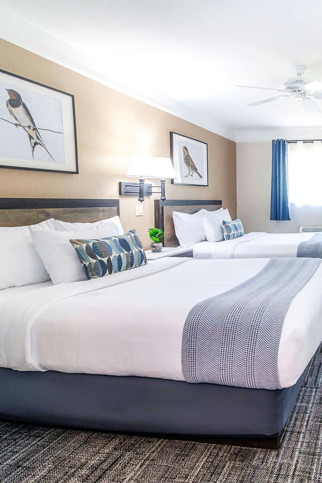 Hotel Inn at Mount Shasta photo 5