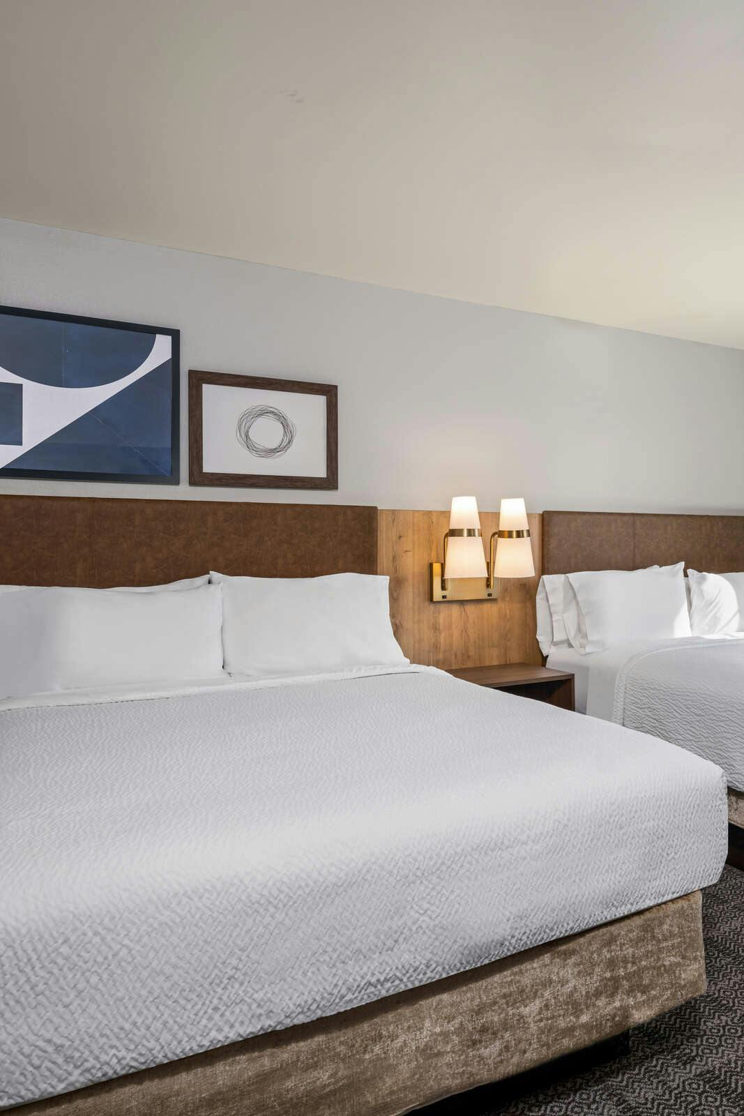 Hotel Staybridge Suites Rochester University by IHG photo 2