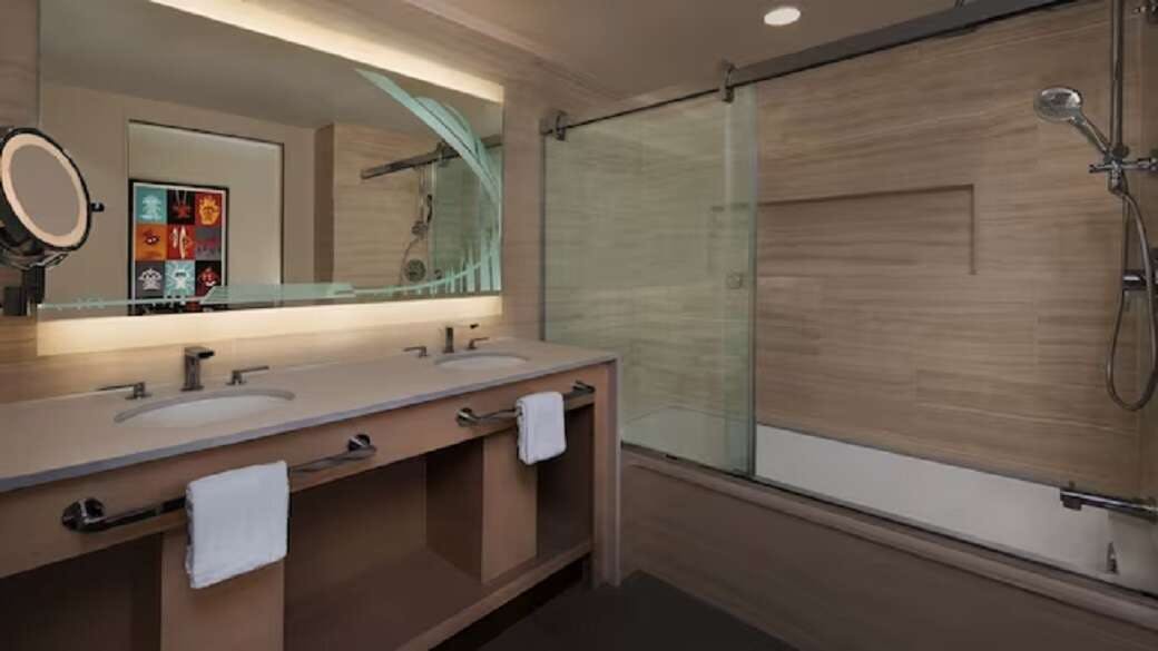 Hotel Disney's Contemporary Resort photo 1