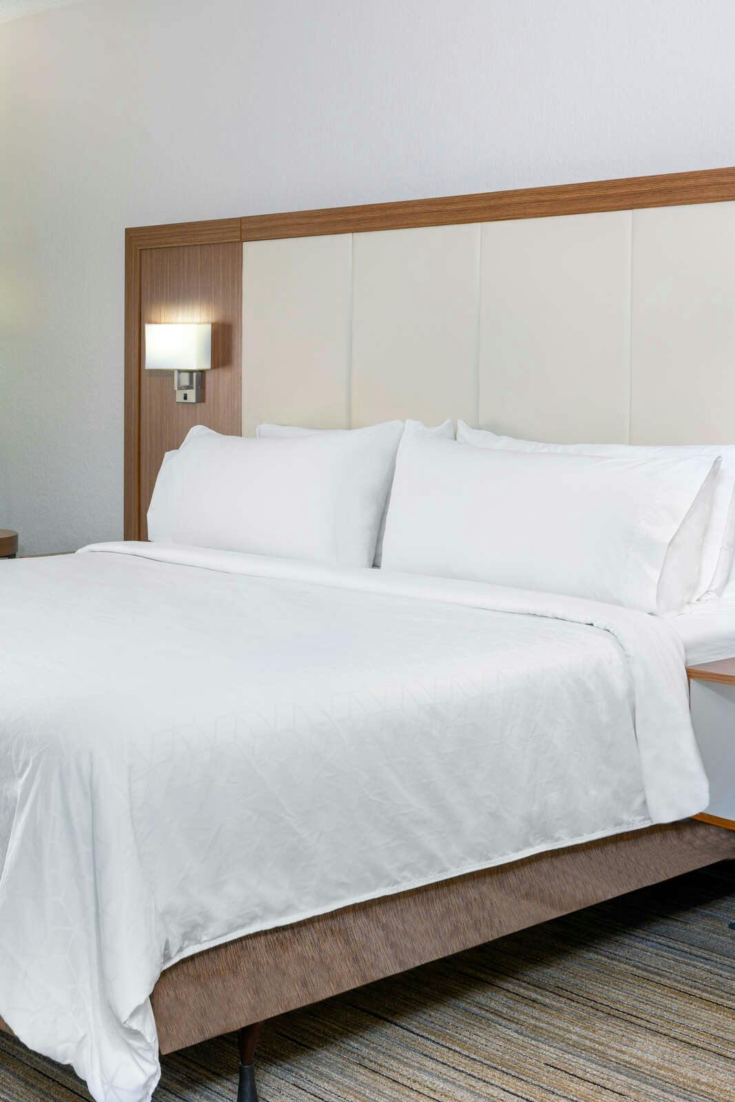 Hotel Holiday Inn Express & Suites Naples / Bonita Springs photo 1