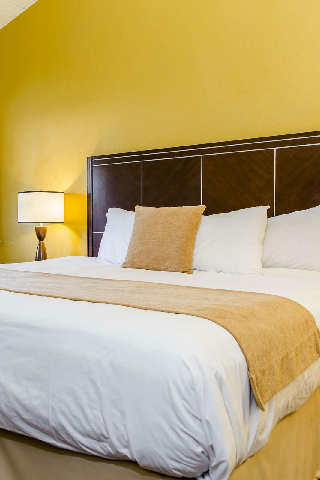 Hotel Ocean Palms Motel photo 1