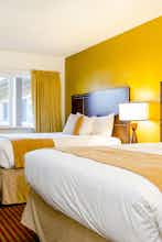 Hotel Ocean Palms Motel photo 4