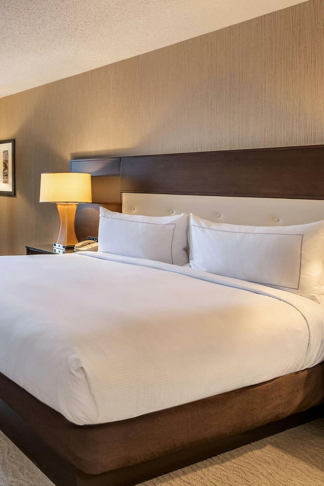 Hotel DoubleTree by Hilton Washington DC - Crystal City photo 5