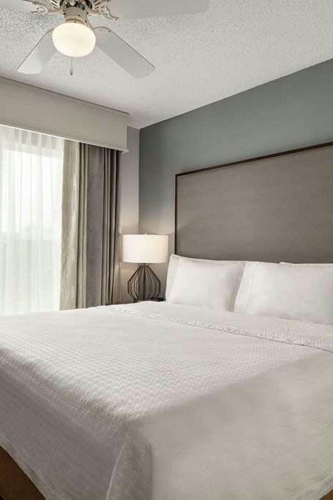 Hotel Homewood Suites Corpus Christi photo 1