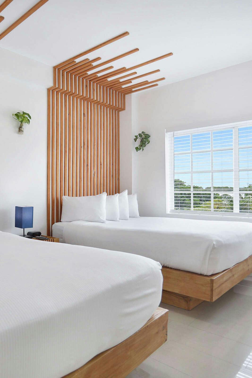 Hotel Hotel Belleza photo 3