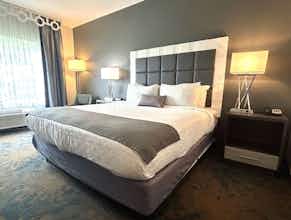 Hotel Best Western Erie Inn & Suites photo 3