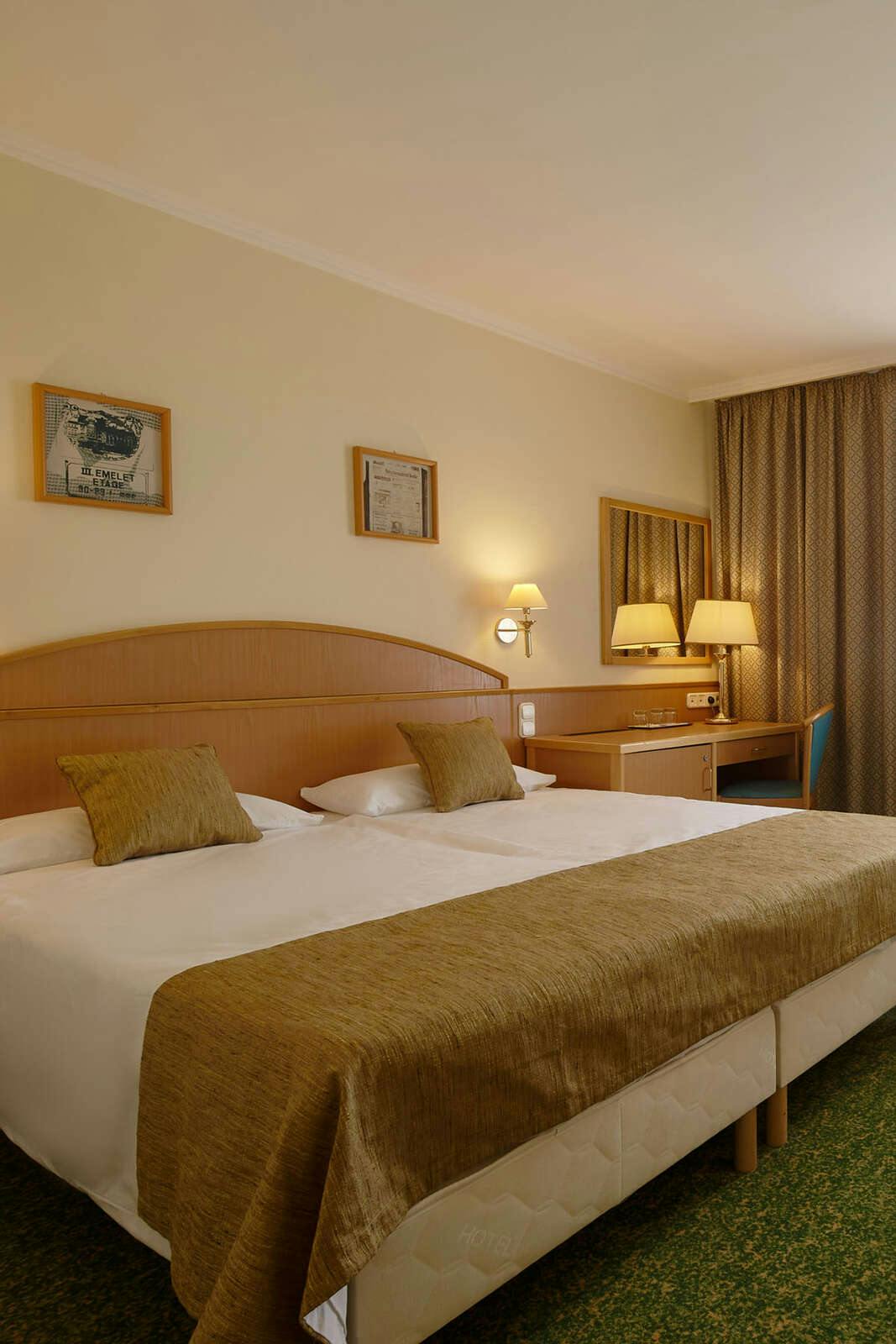 Hotel Danubius Hotel Erzsebet City Center photo 1