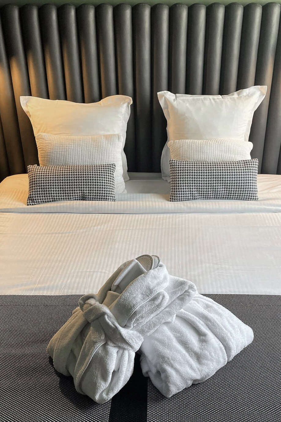 Hotel Hôtel Diana Dauphine photo 4