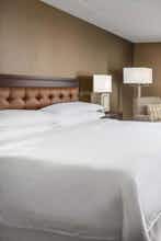 Hotel Sheraton Great Valley Hotel photo 3