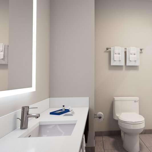 Hotel Holiday Inn Express & Suites Chicago Schaumburg photo 5