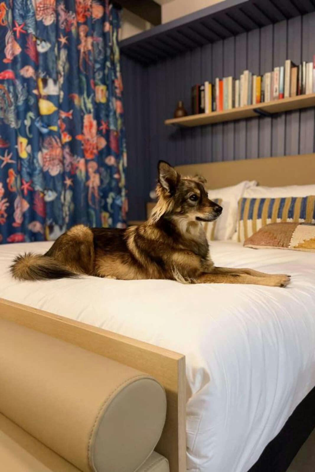 Hotel JOST Hotel Le Havre Gare photo 1