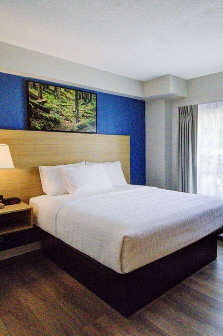 Hotel Baymont by Wyndham Gold River photo 1