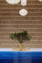 Hotel Hyatt Centric Buckhead Atlanta photo 4