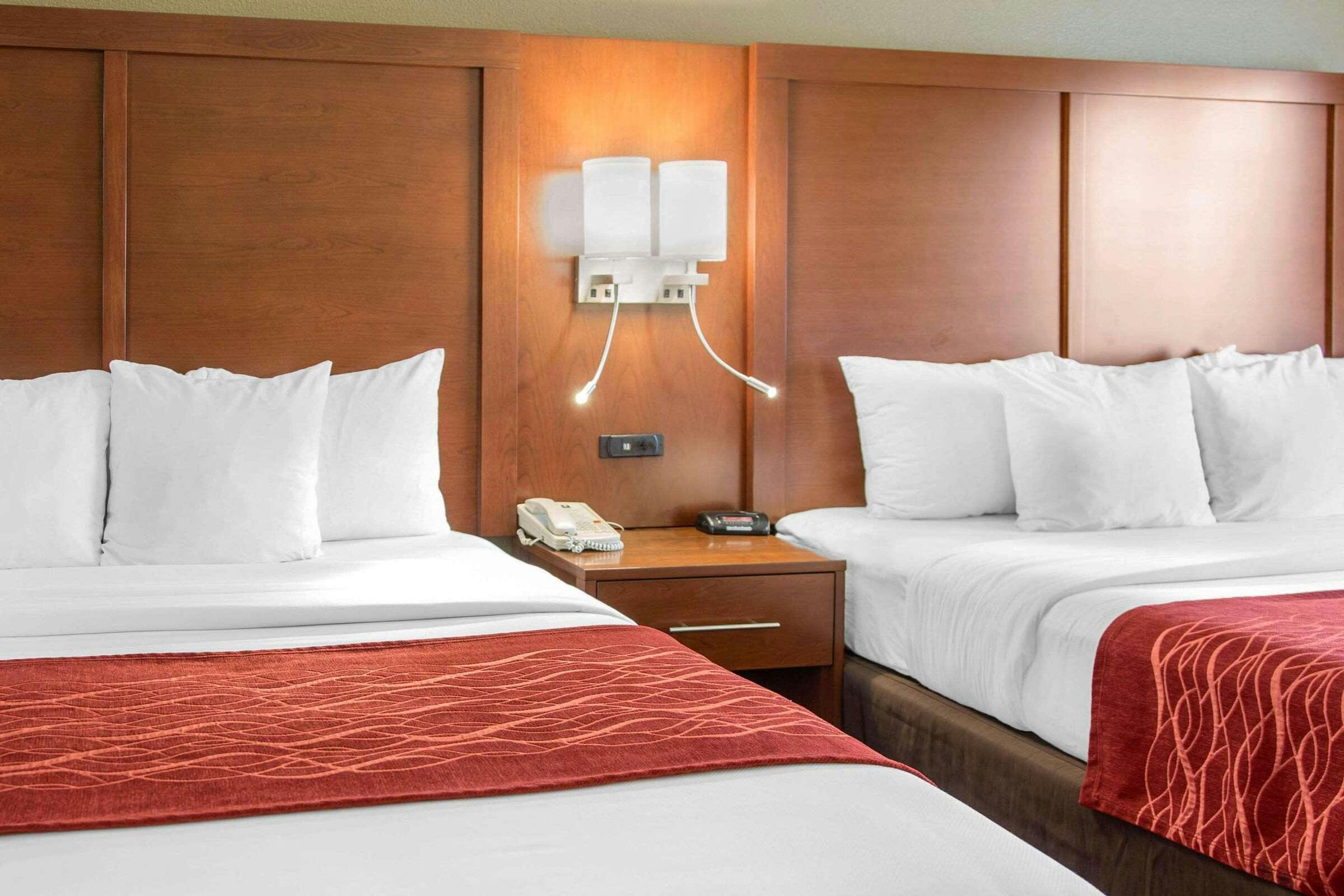 Hotel Comfort Inn and Suites San Francisco Airport North photo 1