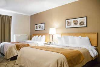 Hotel Comfort Inn Brossard photo 1