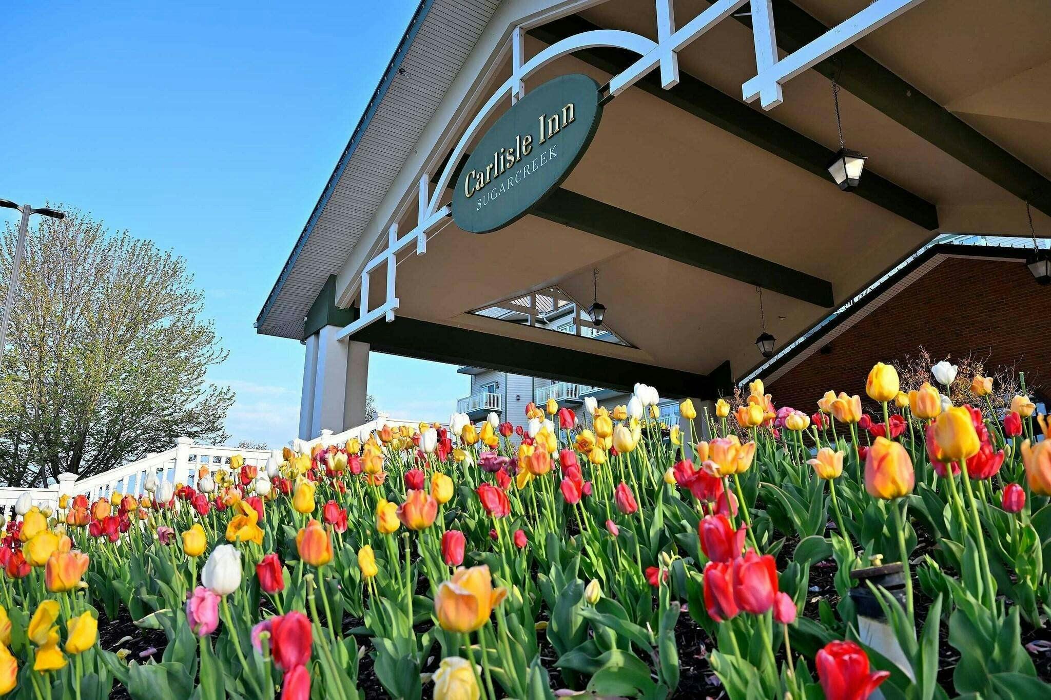 Hotel Carlisle Inn Sugarcreek photo 1